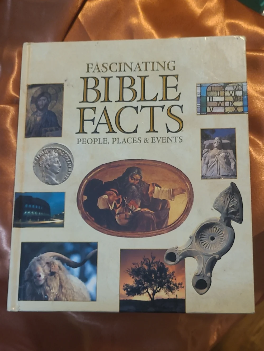 Fascinating Bible Facts Hardcover Book - Cream